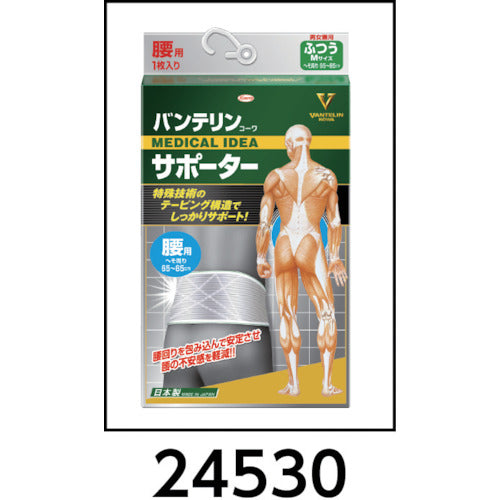 興和　バンテリンサポーター　腰用ふつうサイズ（シャイニンググレー）　24530　1 枚