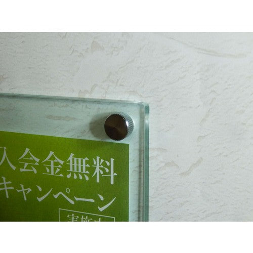 TRUSCO 장식 평소 나사 세로 눈 널링 M6 Φ12 L25 1개입 DS-AB222 1개