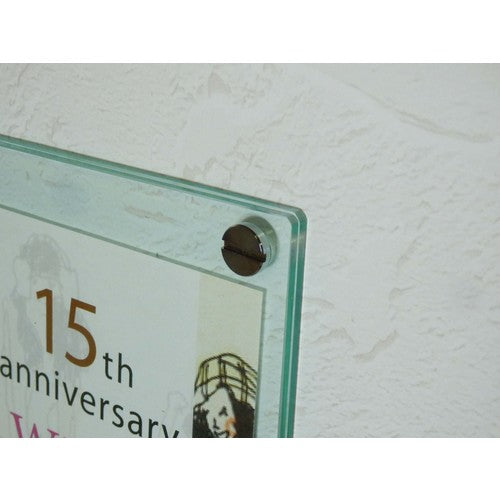 TRUSCCO 장식평소나사