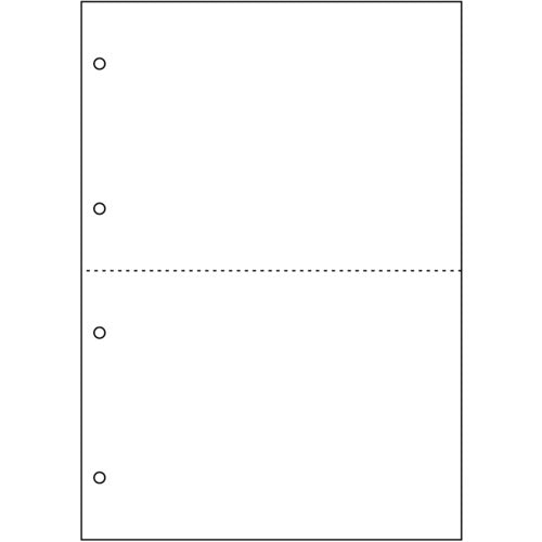 HISAGO Printer Form A4 Blank 2 Sides 4 Holes FSC2003 1 PK