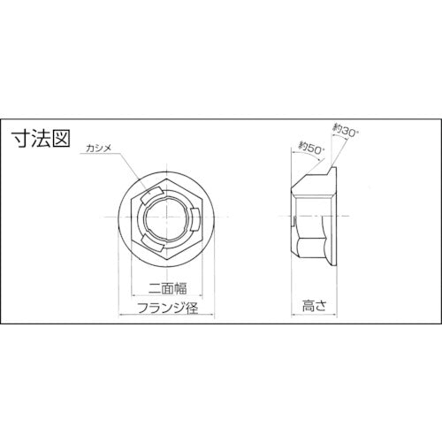 紀州ファスナー　三価クロメート　スリーロックナットＦＬ付小形Ｍ１０−１．２５φ１（２５０個入）　TLNF-10219　1 箱