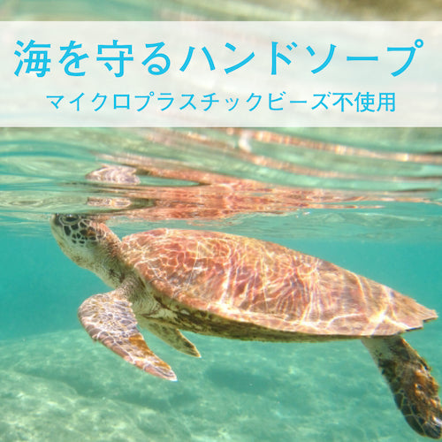 사라야 식물성 스크럽 핸드 비누 스크라빈 N 1.2kg 펌프 부착 23154 1개