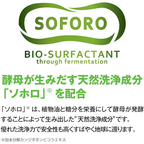 Saraya Botanical Scrub Hand Soap Scrubin N 5kg 23155 1 ​​piece