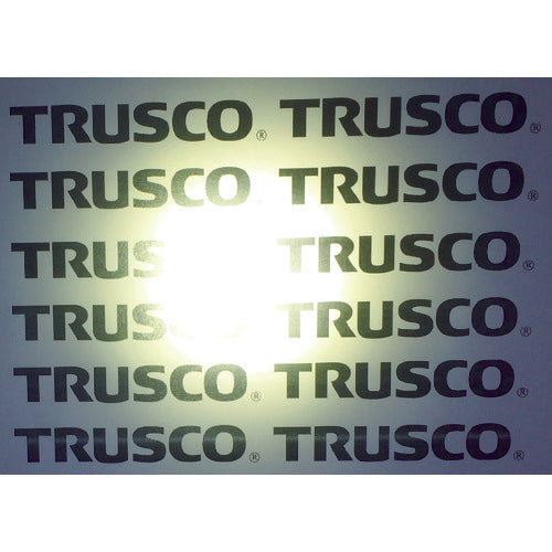 ＴＲＵＳＣＯ　ＬＥＤライト　ＮＵＤＡ　２６０ルーメン　TATALN-260　1 個