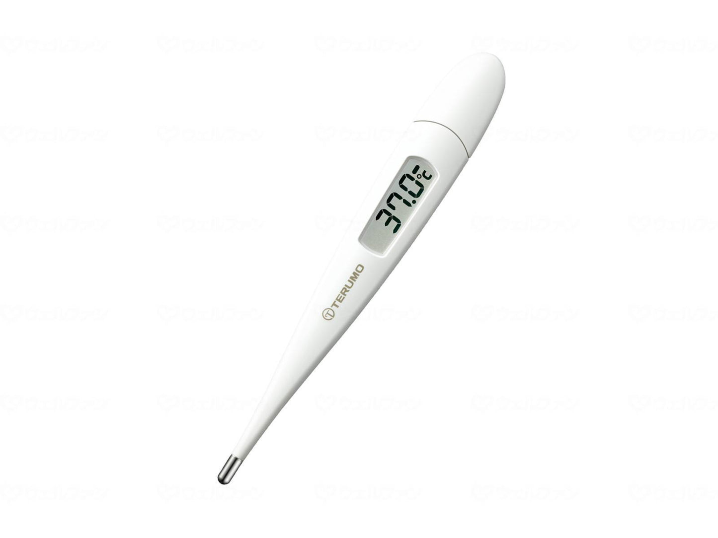 Termo 전자 체온계 C231P