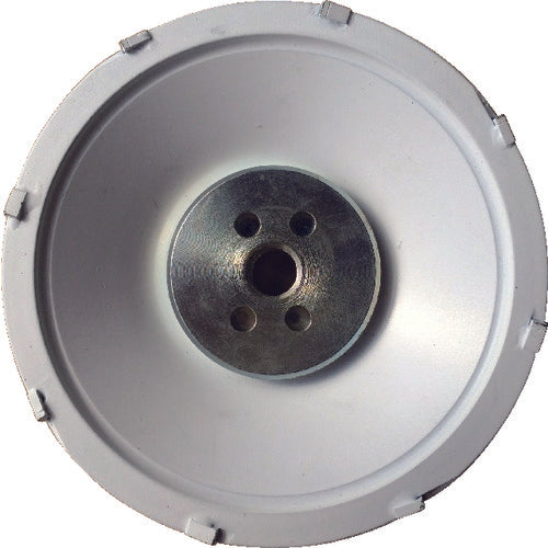 산쿄 토맥스 8 도막 박리 개수용 CC-W4 1개