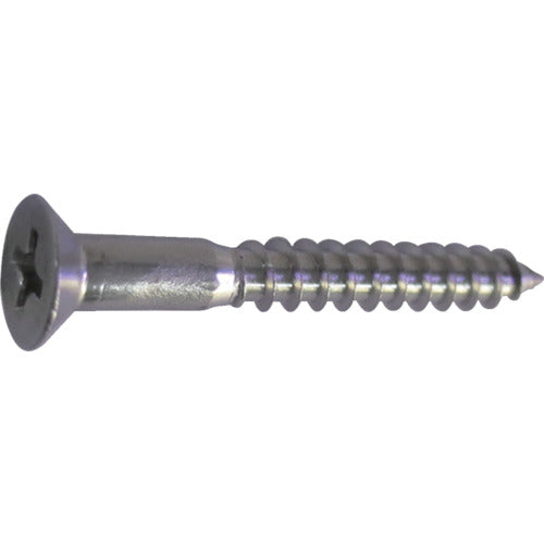 DAIDOHANT HP Stainless Steel Wood Screws Flat Head 2.4 x 10 26pcs 10183249 1 PK