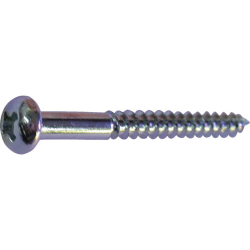 DAIDOHANT HP Unicro Wood Screws Round Head 2.4 x 10 36pcs 10183291 1 PK
