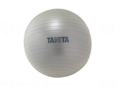 タニタｼﾞﾑﾎﾞｰﾙ ｼﾙﾊﾞｰ