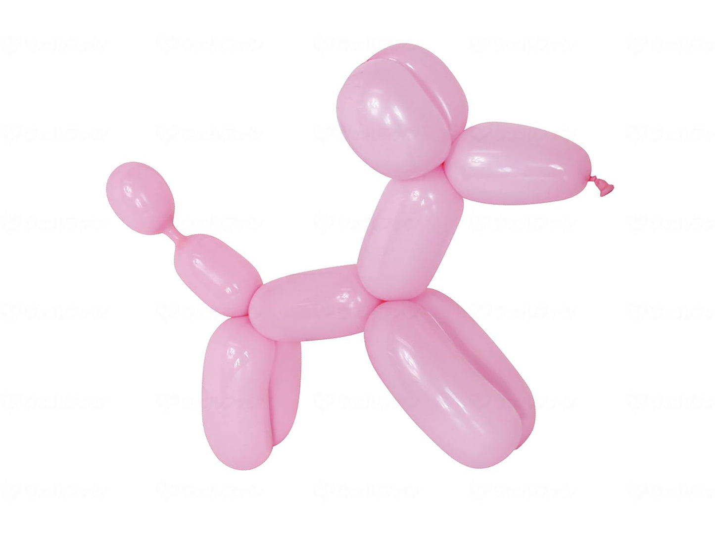 키시스 히네챠오 EASY 펌프 첨부 50개입