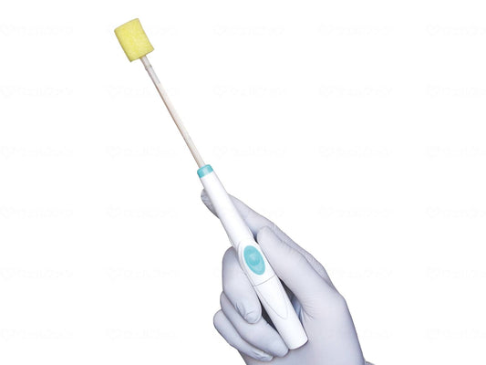 베텔피카스포 본체+스펜지브라시 10개입