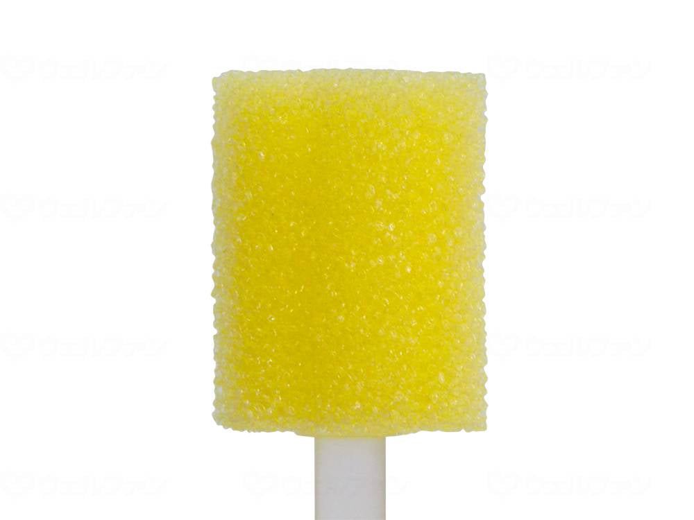 베텔피카스포용 스폰지브라시 10개입