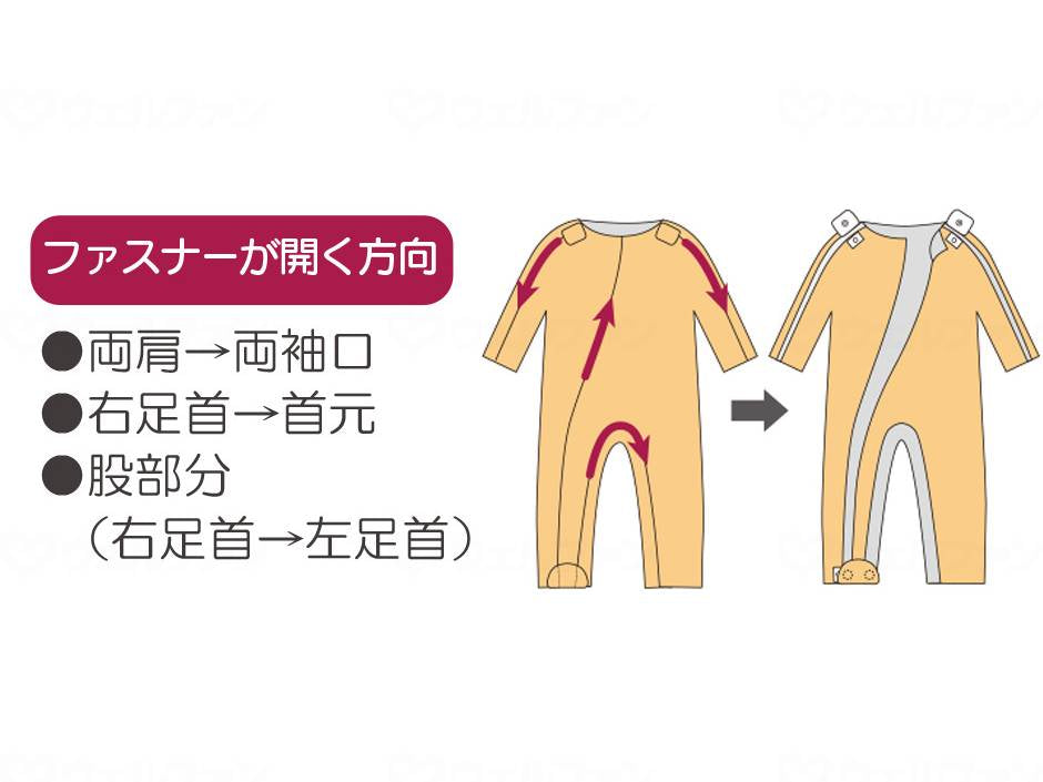 대나무 호랑이 푸드 네마키 C 스리시즌 비지 S