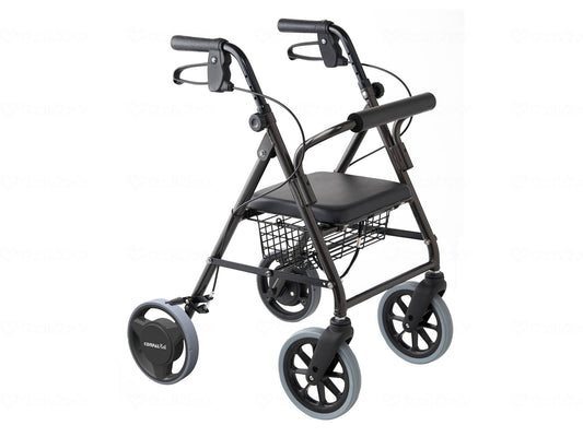 대나무 호랑이 포피 미니 토르 억속 부레키 2 다크 글로메타 리크