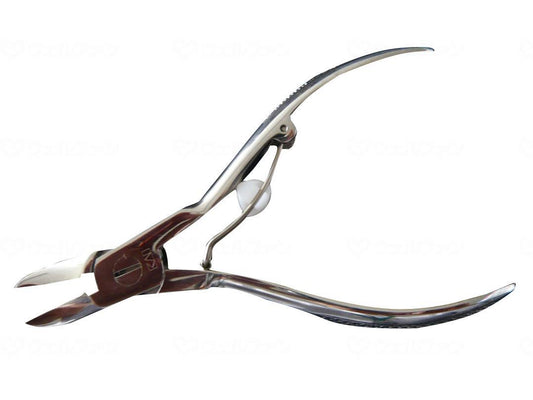 삐삐삐빠 - 짹짹