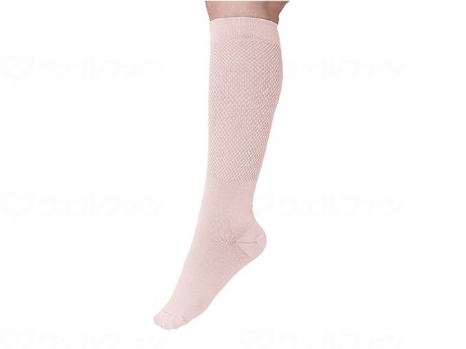 가토 무역 아쿠타 부시 니코의 착압 펑크 ML