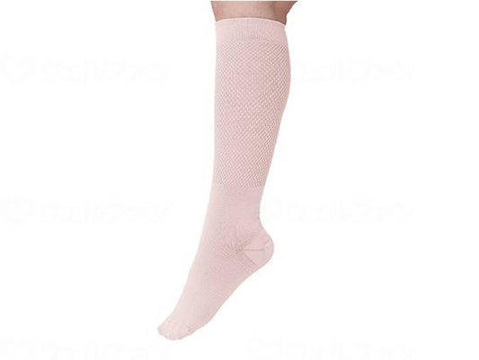 가토 무역 아쿠타 부시 니코의 착압 펑크 ML