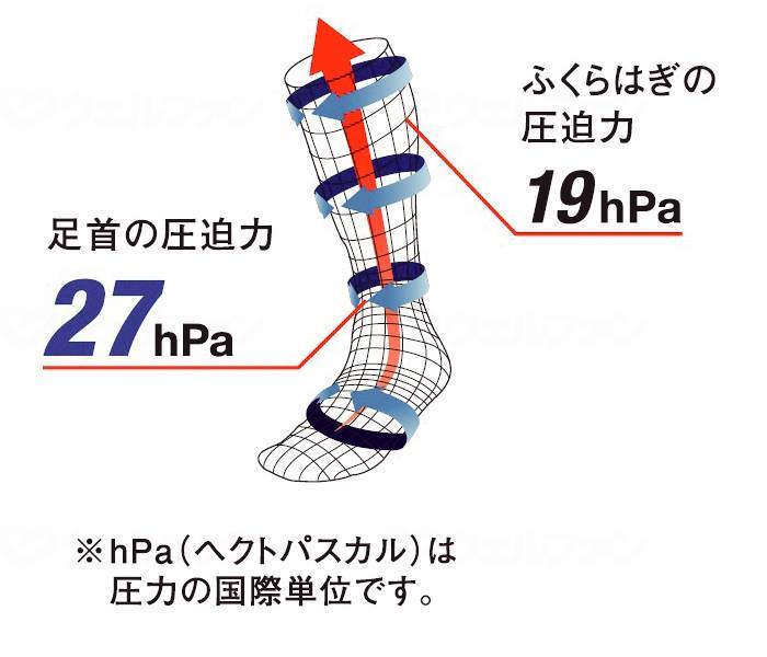 アルケアﾘｶﾞｰﾄﾞ　CGｿｯｸｽEX-27  CG-4 ﾌﾞﾗｯｸ L