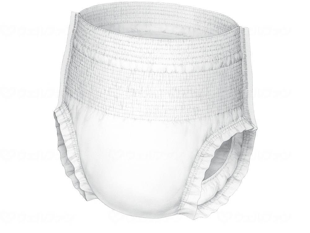 Nippon Paper Crecia G is a good panty that doesn't smell, regular panties, bag, loose L