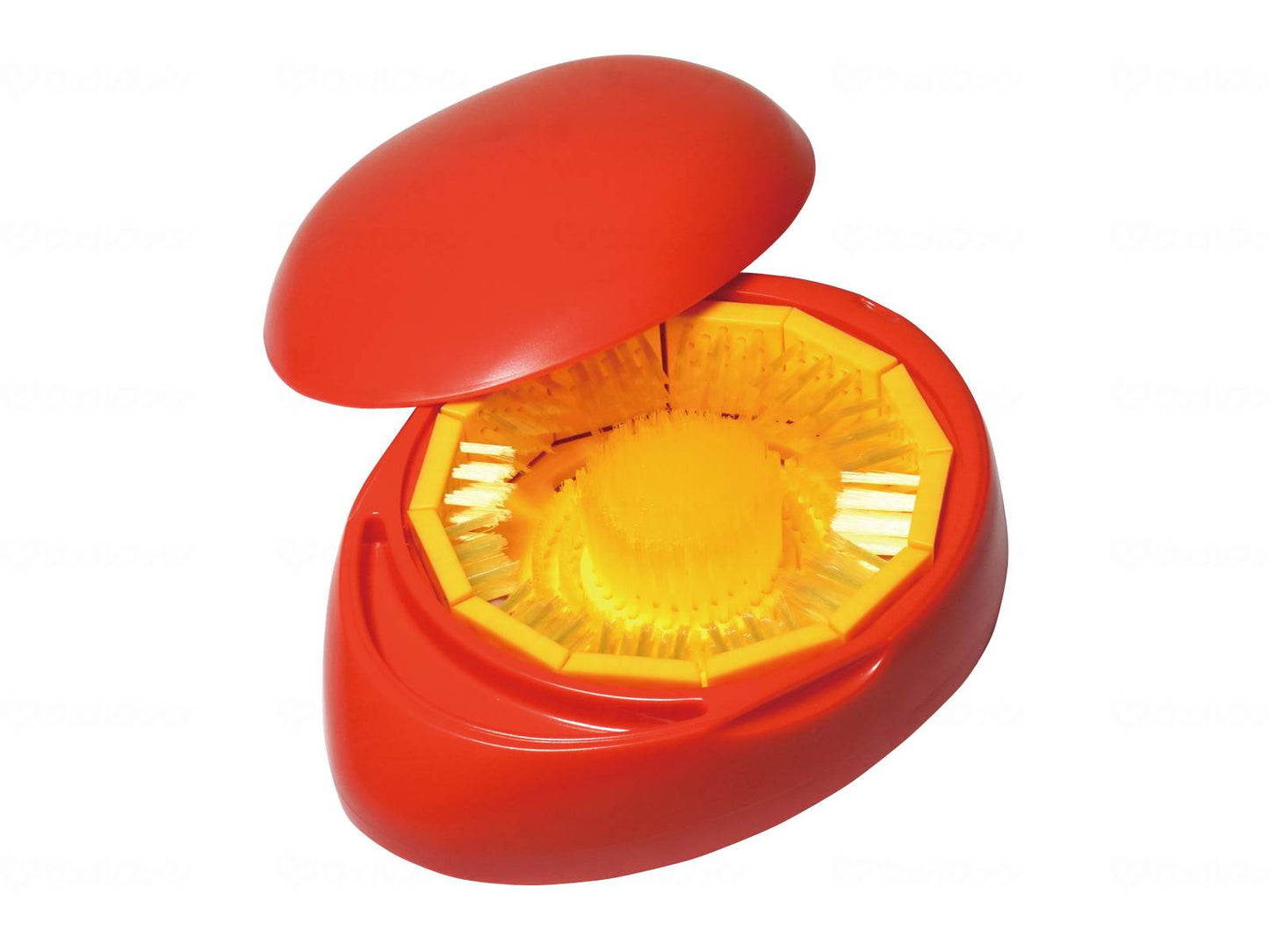 Adjustable denture brush, mango