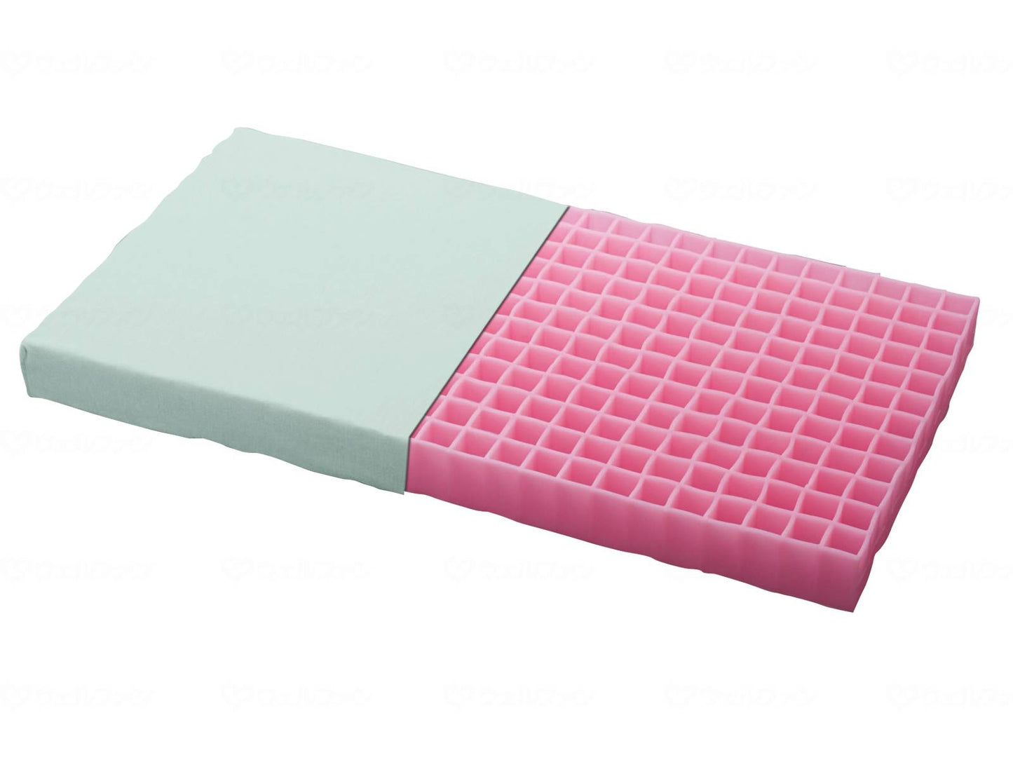 팬디나 파이터·보디사포트 쿠션 대