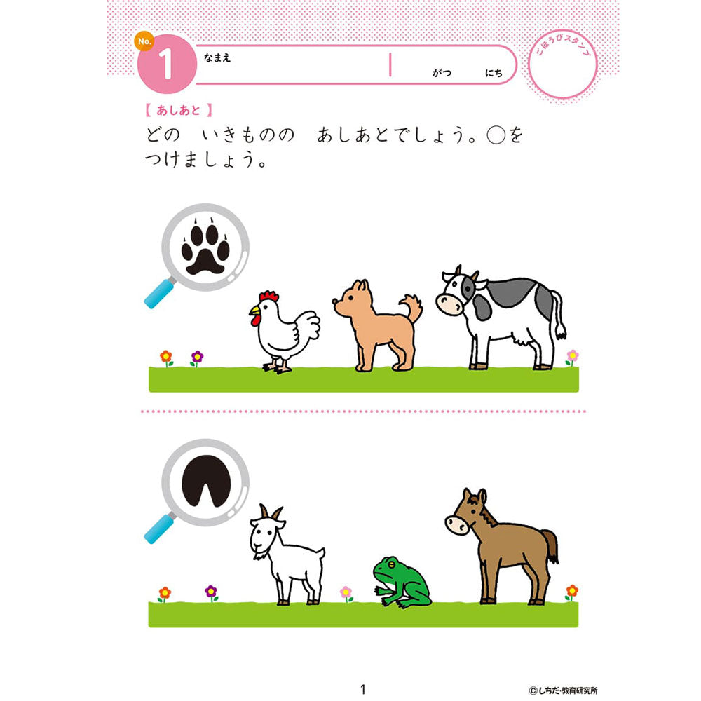 Shichida Method Intelligence Drill for 4, 5, and 6 Year Olds, 1 Piece