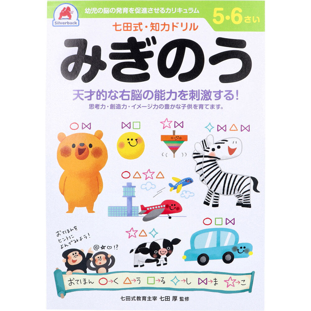 Shichida Method Intelligence Drill 5-6 Years Old Right Hand 1 Piece