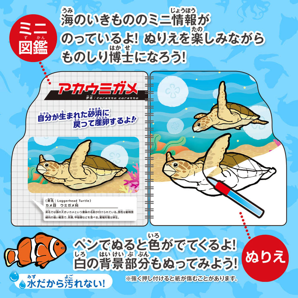 Water Coloring Book: Sea Creatures Picture Book 1 Set 1 Piece