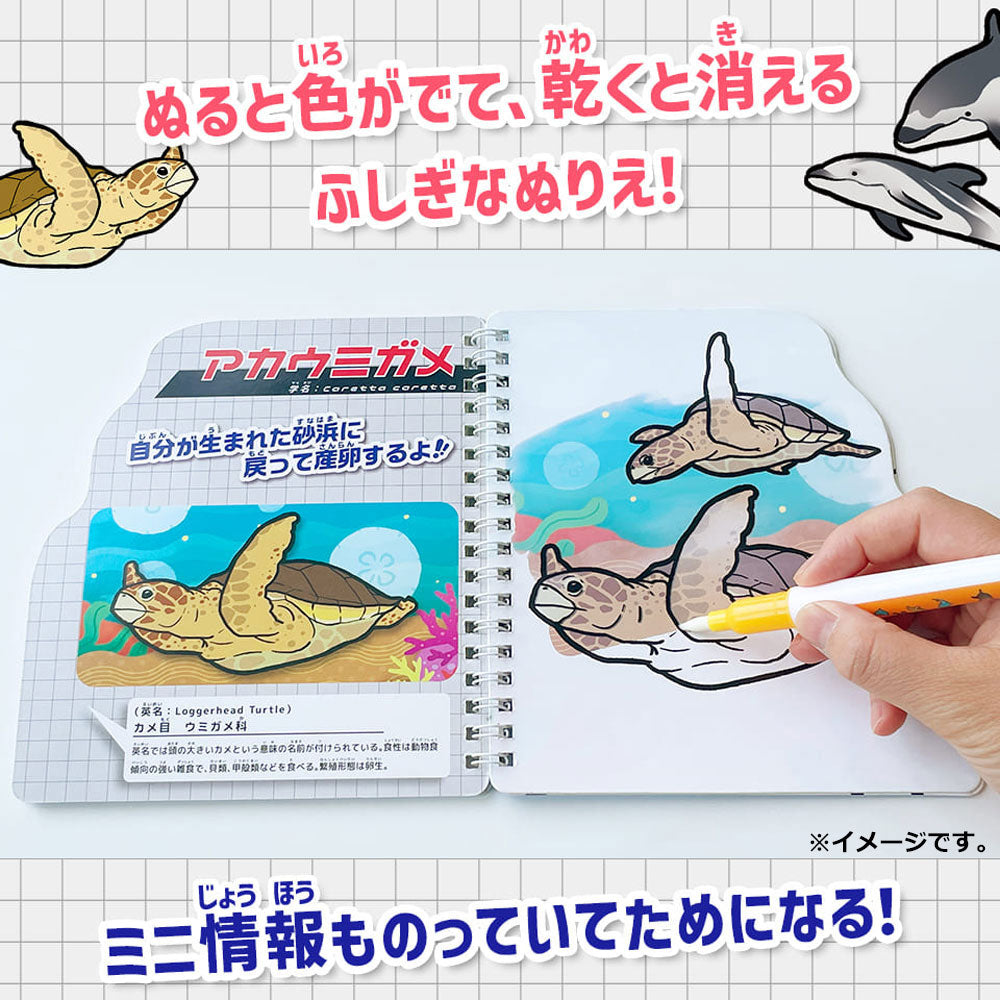 Water Coloring Book: Sea Creatures Picture Book 1 Set 1 Piece