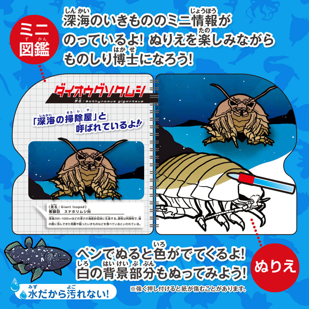 水ぬりえ 深海のいきもの図鑑 1セット 1 個