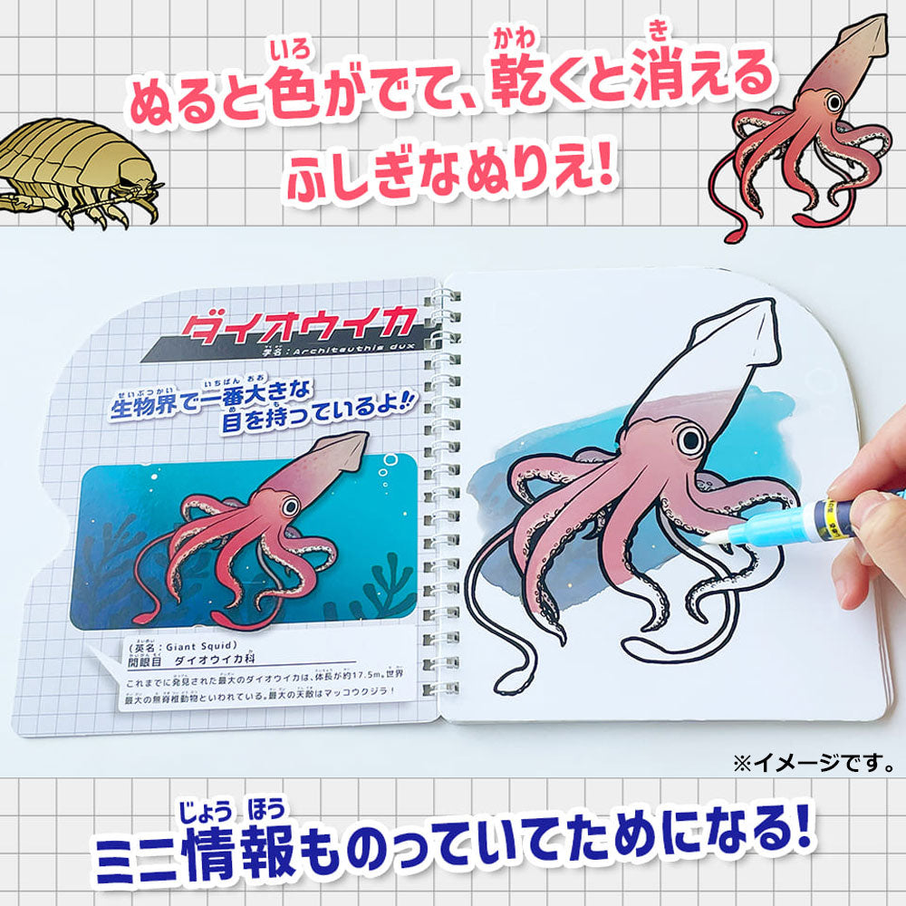 水ぬりえ 深海のいきもの図鑑 1セット 1 個