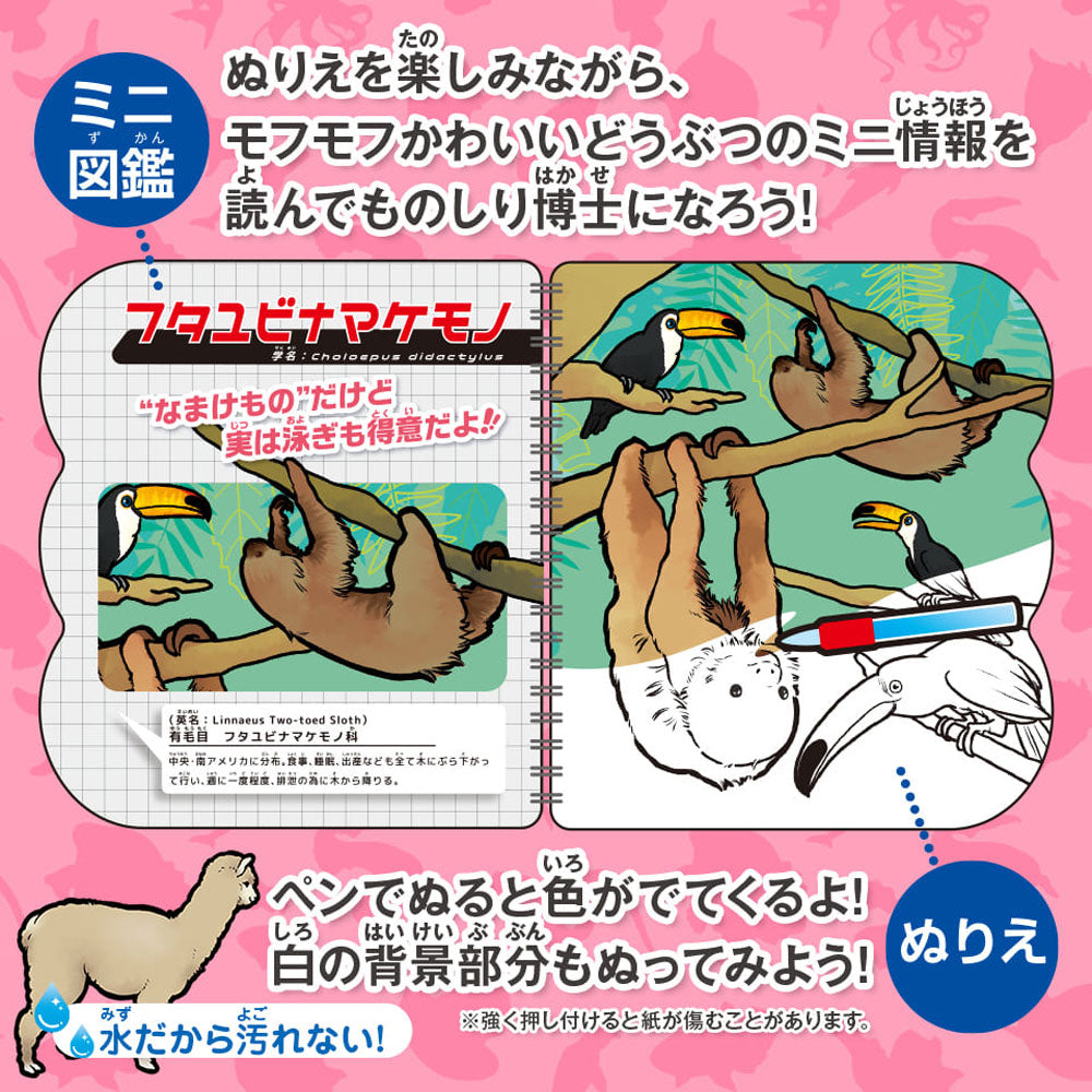 Water coloring book Fluffy cute animal picture book 1 set 1 piece