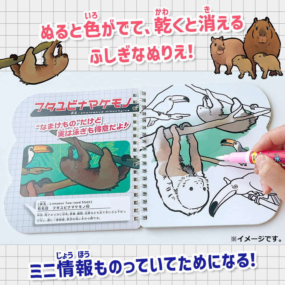 Water coloring book Fluffy cute animal picture book 1 set 1 piece