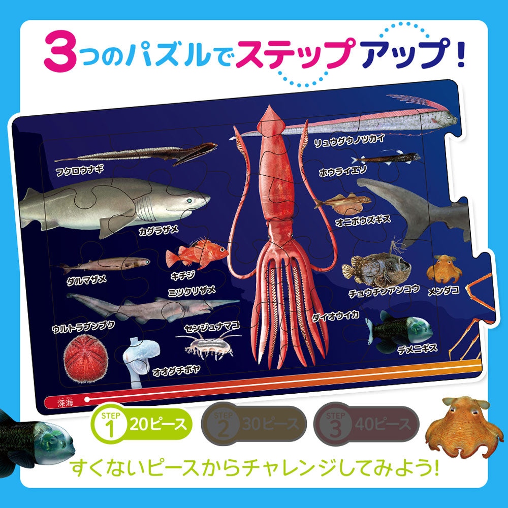 Connecting Puzzle Picture Book: Sea Creatures 1 set 1 piece