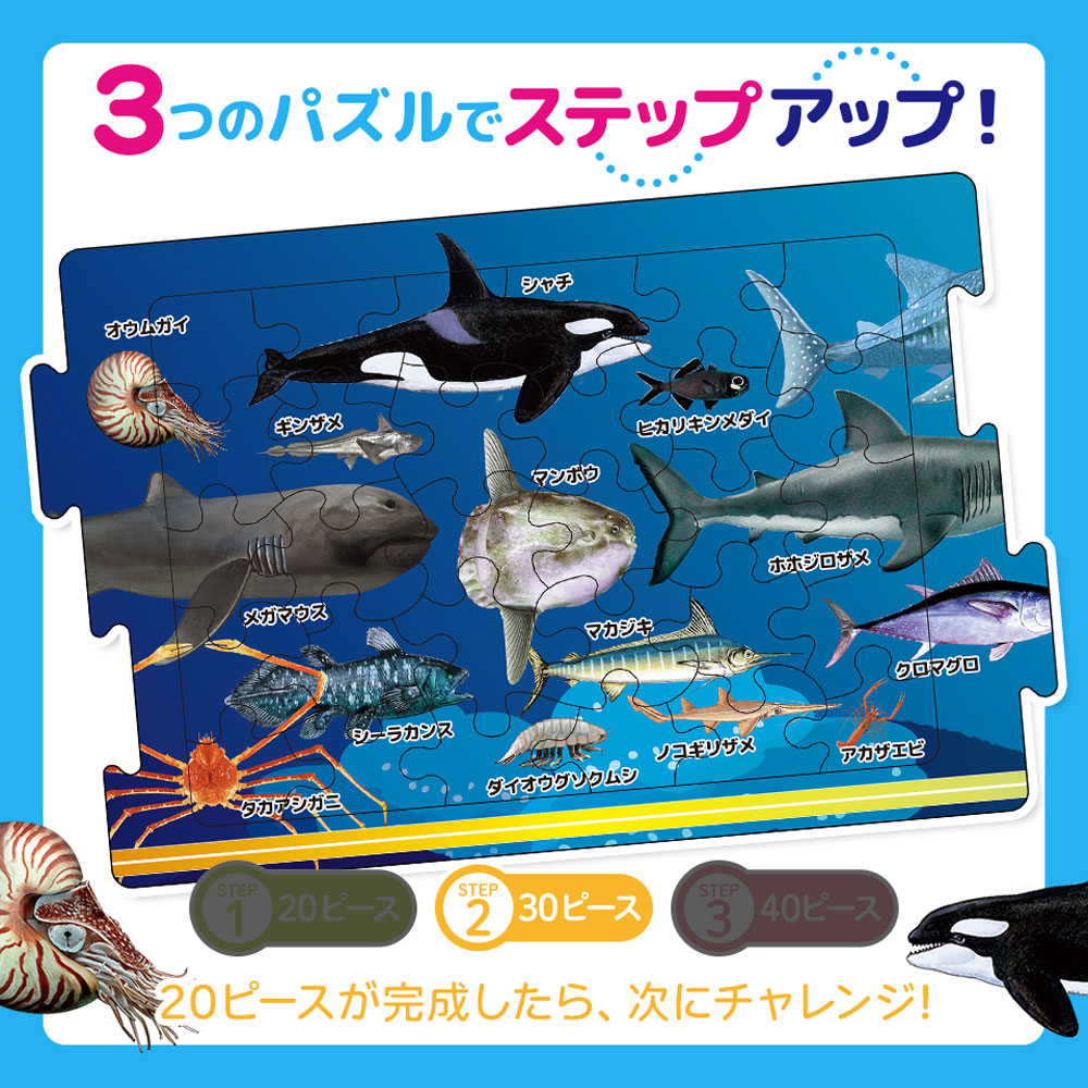 Connecting Puzzle Picture Book: Sea Creatures 1 set 1 piece