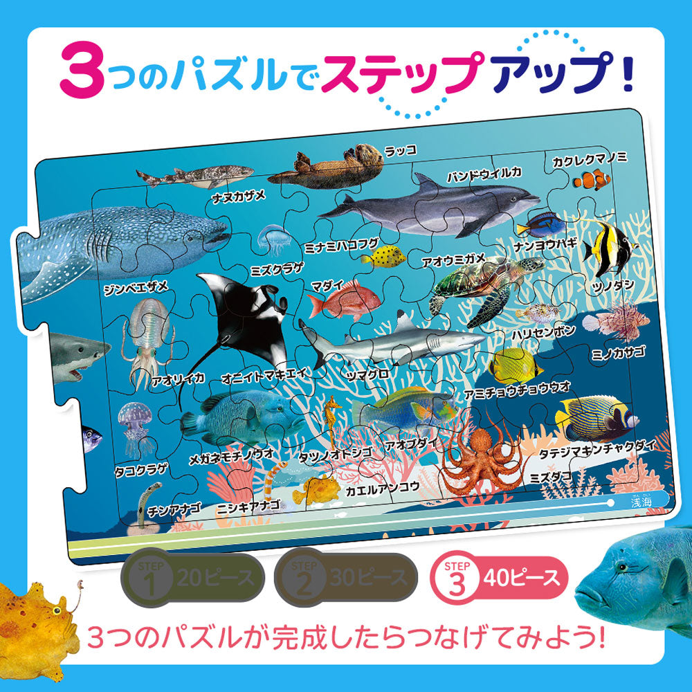 Connecting Puzzle Picture Book: Sea Creatures 1 set 1 piece