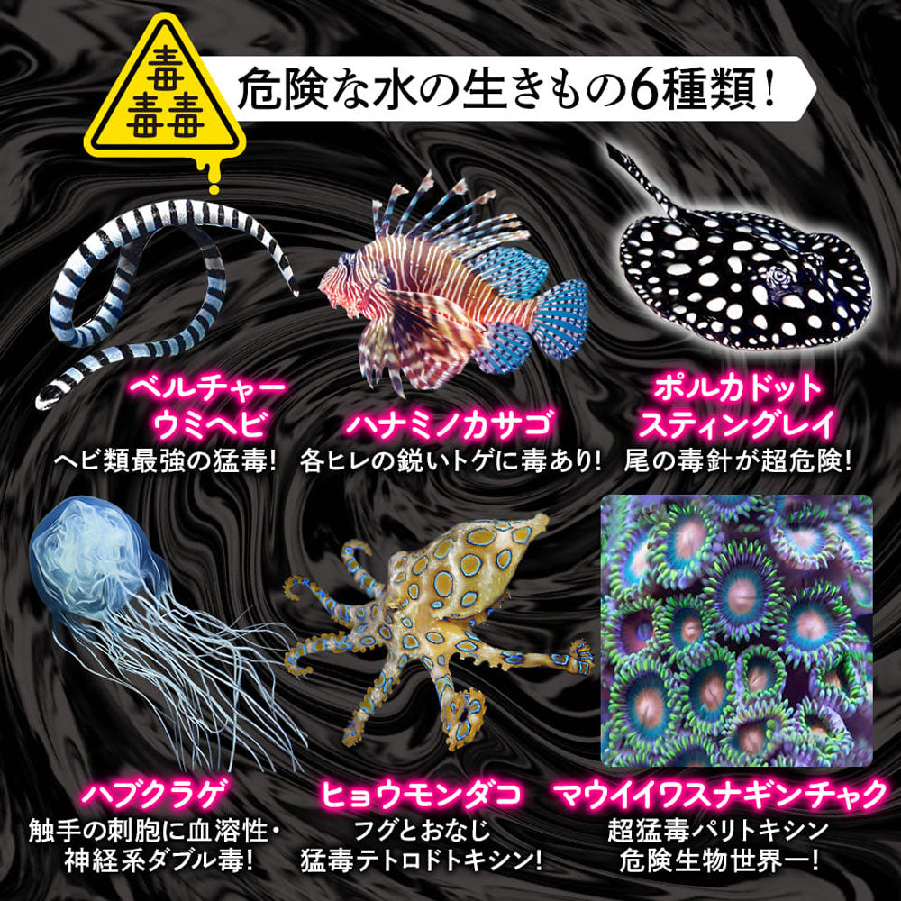 Poison Poison Poison Dangerous Water Creatures CUBE 3x3 (Cube Three by Three) 1 piece 1 piece