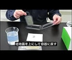 イージーディップ　微生物簡易測定器具　一般生菌数測定用　（10枚×3袋）　SAN-AI Ez-Dip TTC 1箱(10枚×3袋入)